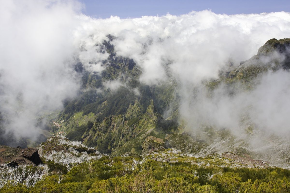 Madeira
