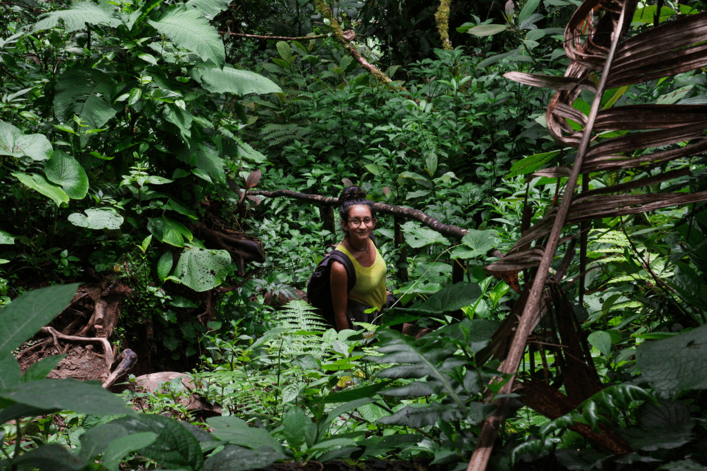 Pralesy v Paname sú magické. 