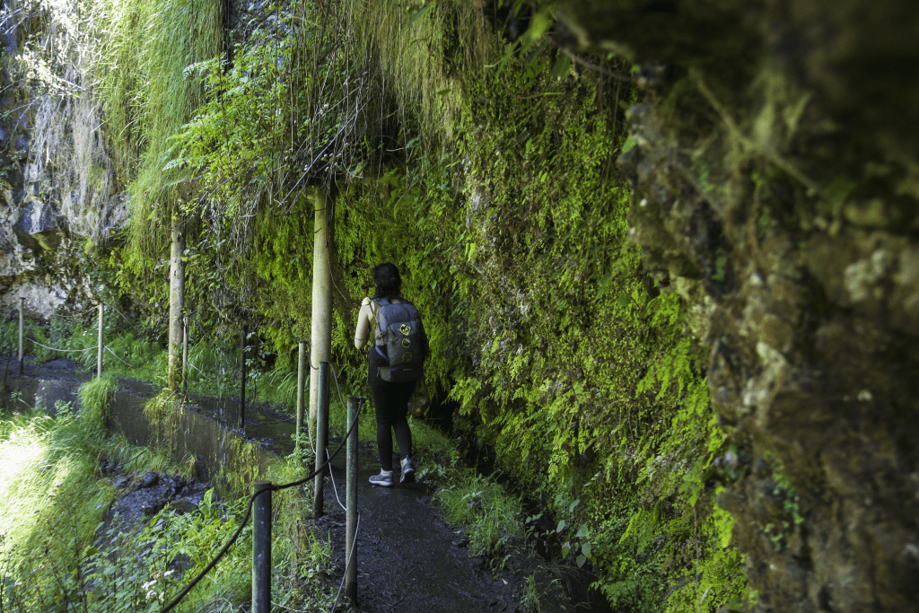 Levada Nova na Madeire.