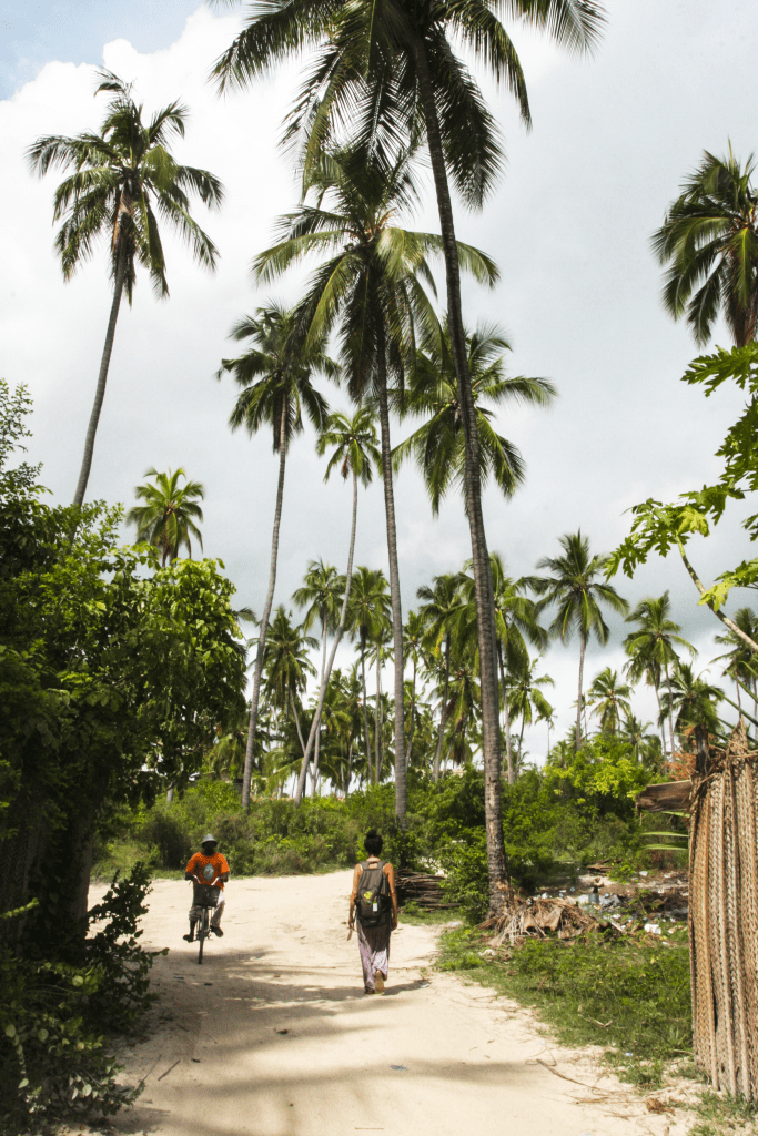 Dedinky Zanzibar.