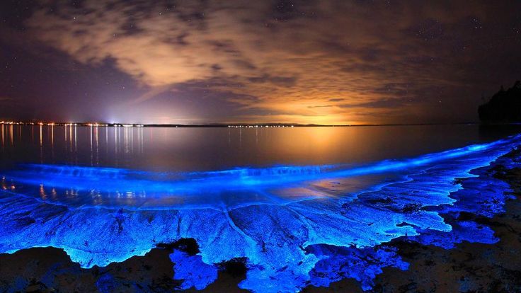Bioluminescencia je fenomén, ktorý objavíte aj na Isla Grande. 