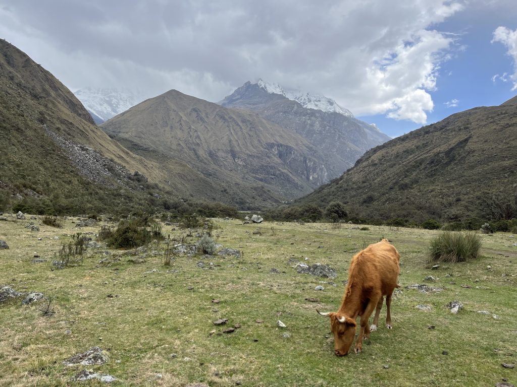 Doliny v Peru obklopené Kordillerami.