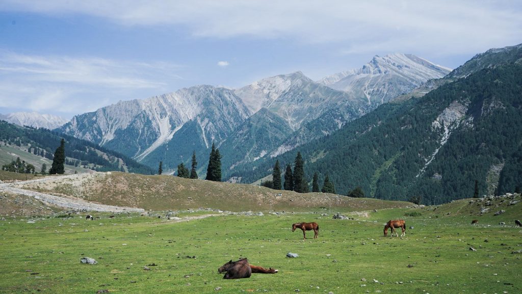 Dvíhajúce sa Himaláje smerom na Ladakh v štáte Jammu a Kašmír. 