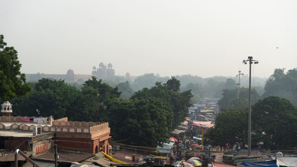 V pozadí Red fort v New Delhi.