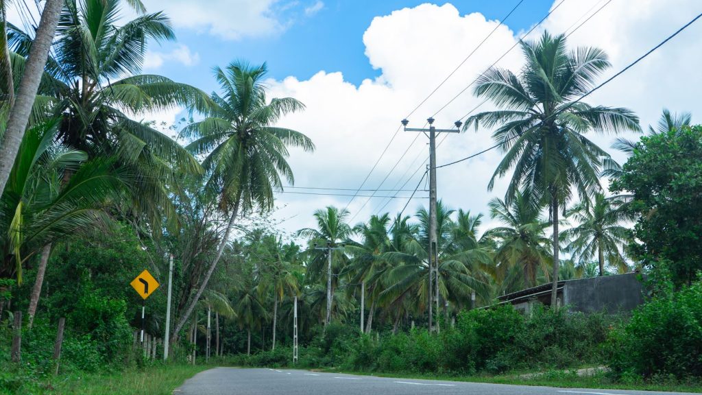 Všetky hlavné cesty na Sri Lanky sú v relatívne dobrom stave.