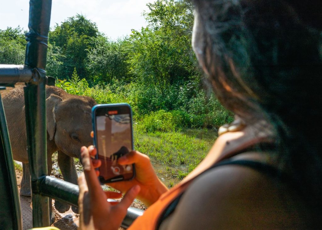 V NP Udawalawe na Sri Lanke sa ocitnete od slonov len na pár centimetrov.