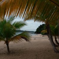 Ostrov Coiba – svetový unikát s temnou minulosťou