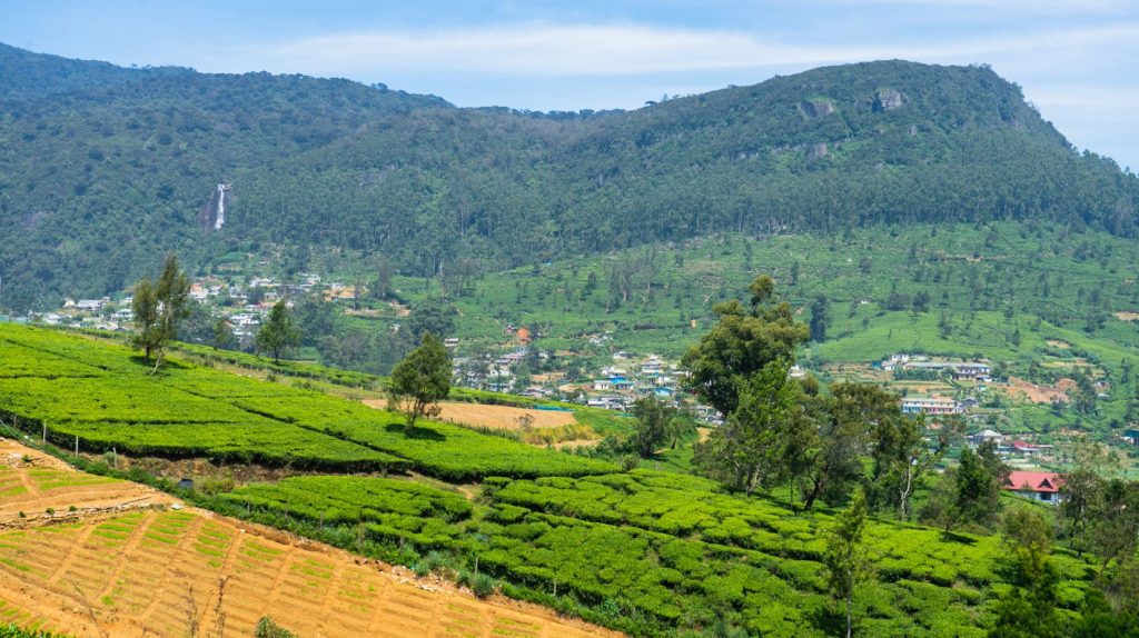 Nuwara Eliya na Sri Lanke je hlavne o čajových plantážach a prírode.