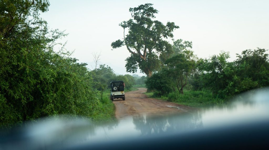 Safari v NP Udawalawe zažite zo strechy jeepu.