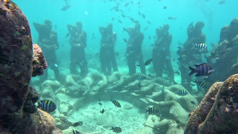 Sochy pri ostrove Gili Meno na Bali.